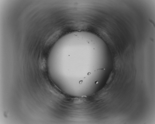 X0000103310077200809122101