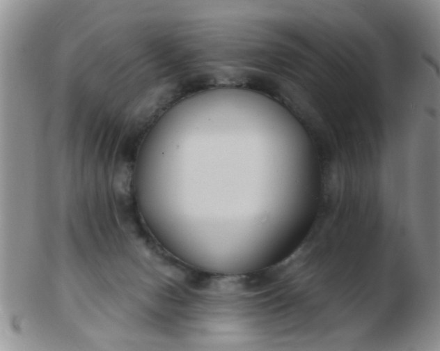 X0000103310078200809122101