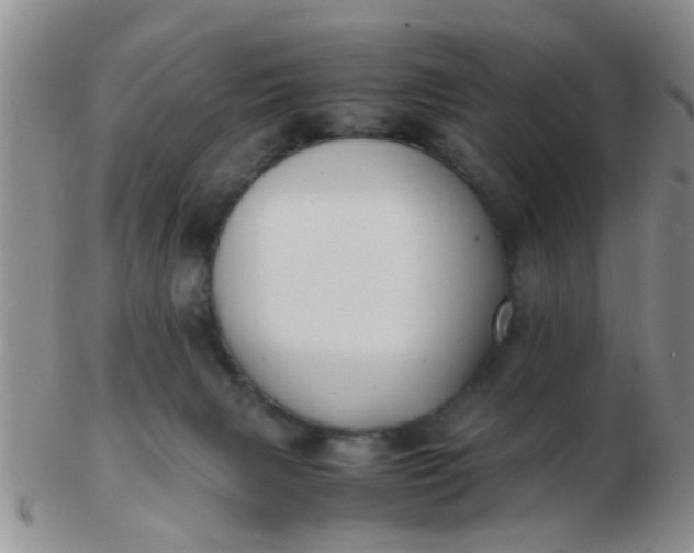X0000103310079200809122101