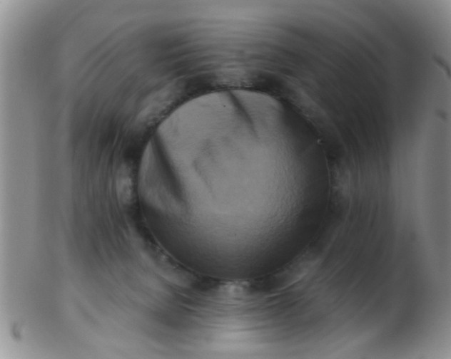 X0000103310080200809122101