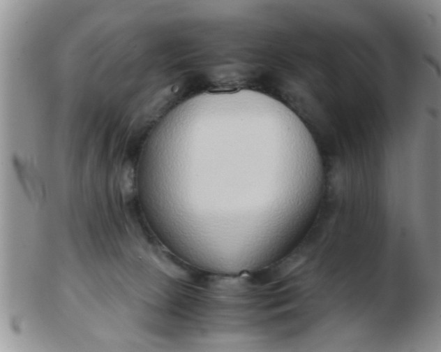 X0000103310081200809122101