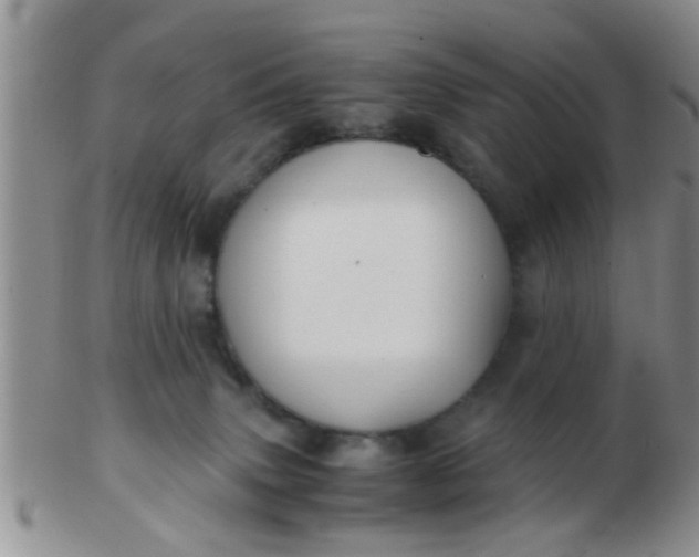 X0000103310083200809122101