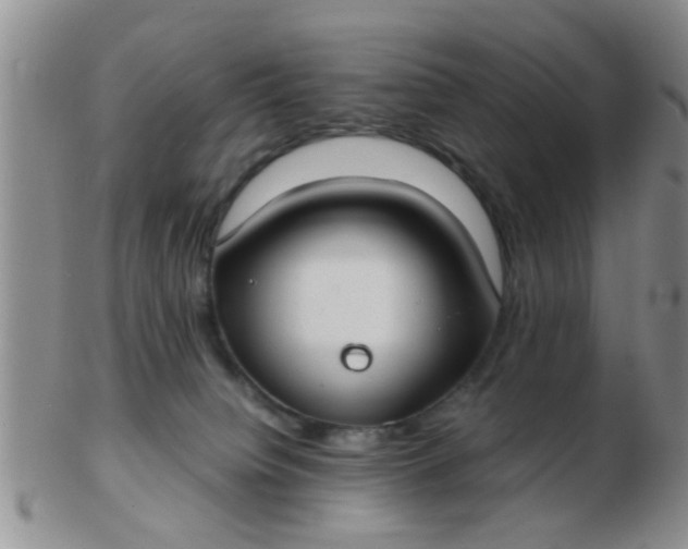 X0000103310084200809122101