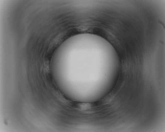 X0000103310085200809122101