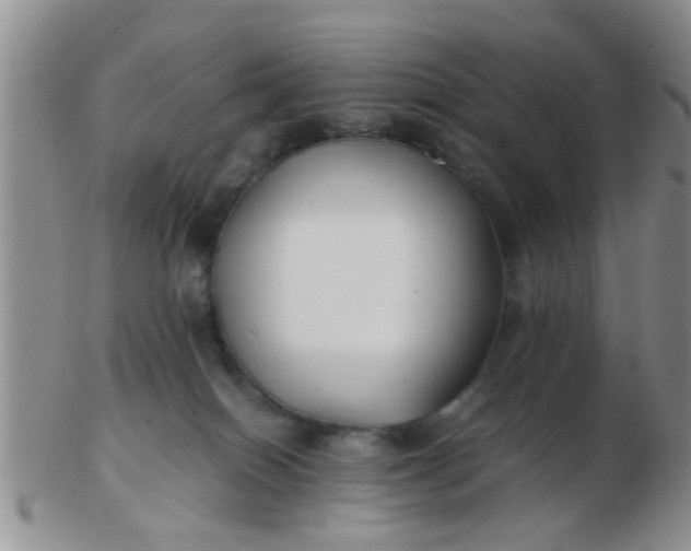 X0000103310086200809122101