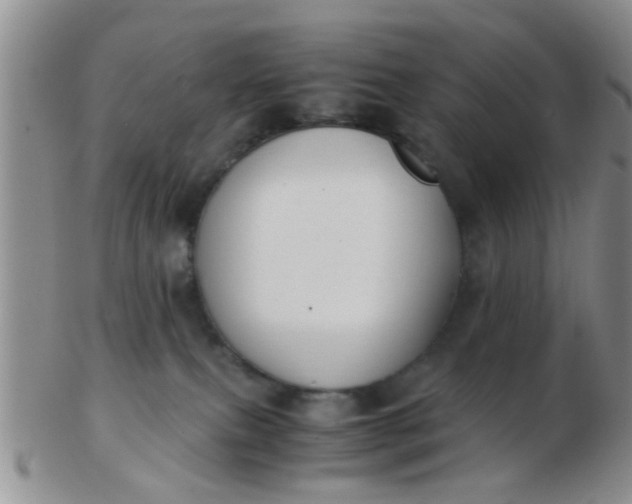 X0000103310087200809122101