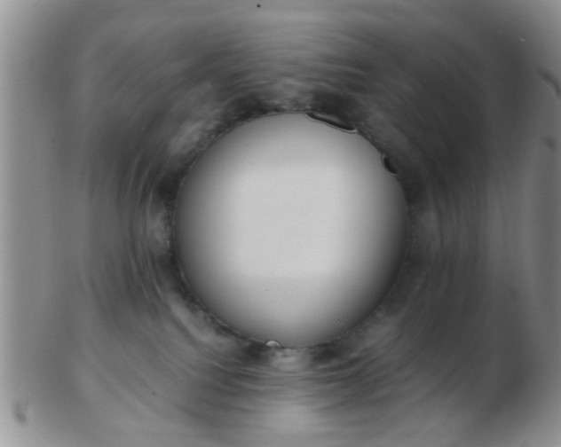 X0000103310088200809122101