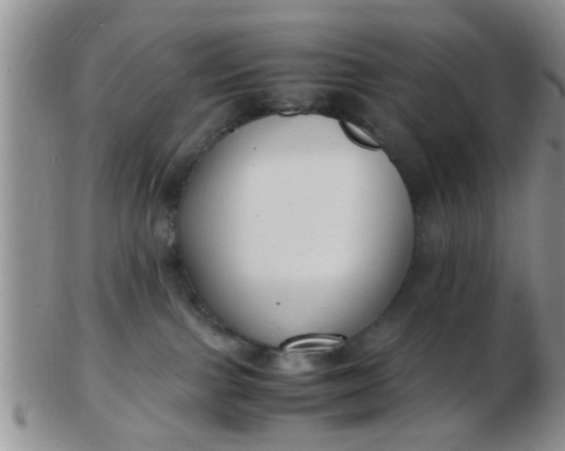X0000103310091200809122101