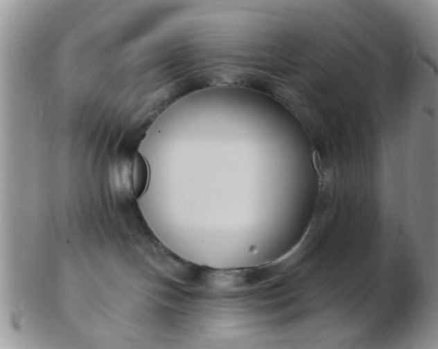 X0000103310094200809122101