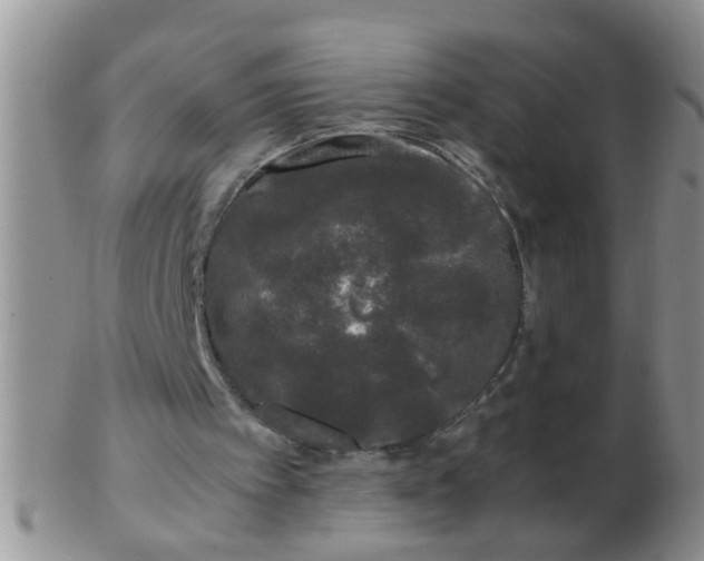 X0000103310097200809122100
