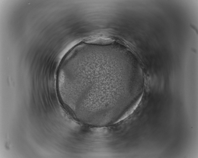 X0000103310100200809122100
