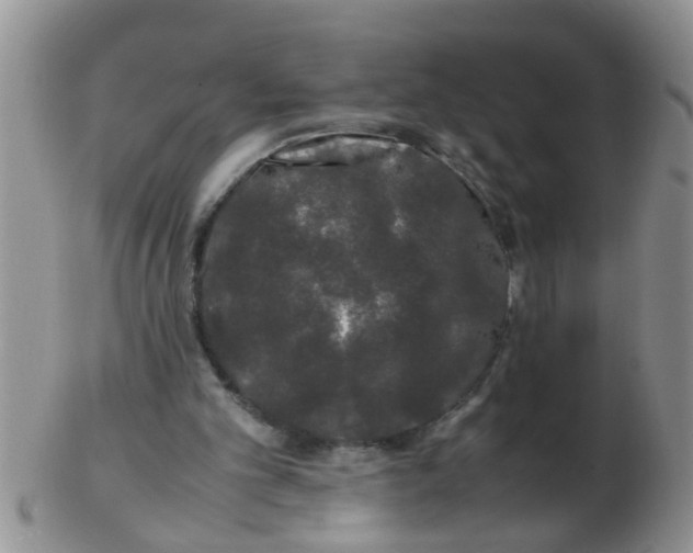 X0000103310101200809122100