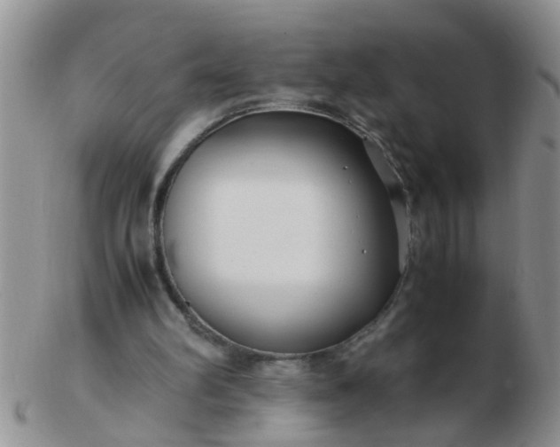 X0000103310102200809122100