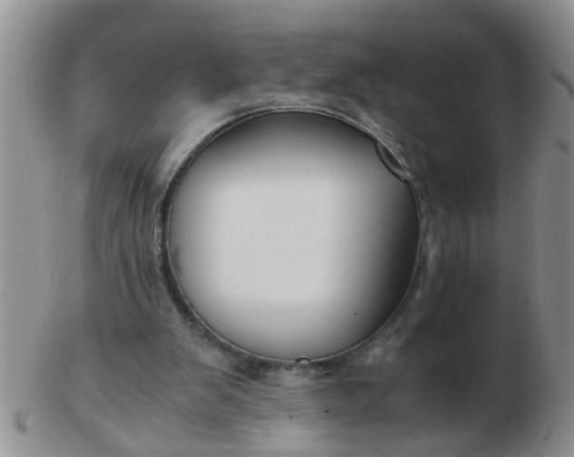 X0000103310103200809122100