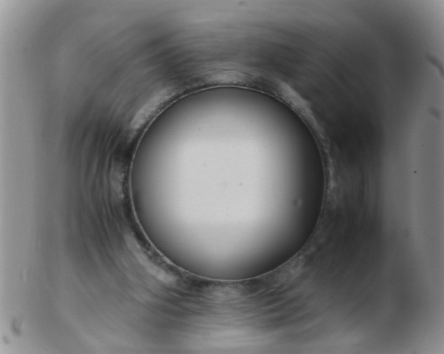 X0000103310106200809122100