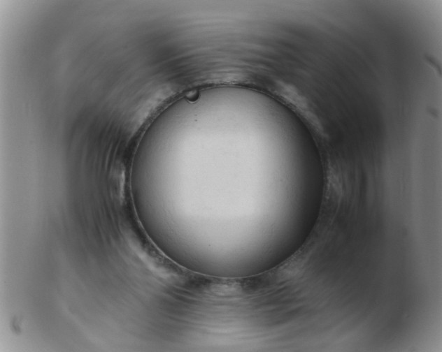 X0000103310110200809122100