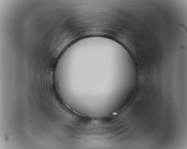 X0000103310111200809122100