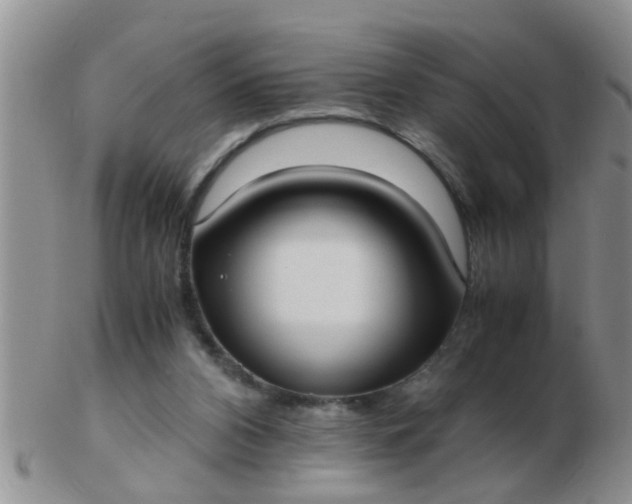 X0000103310112200809122100
