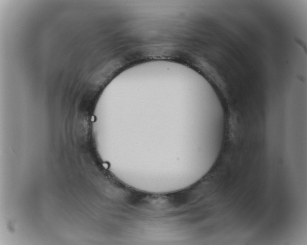 X0000103310113200809122100