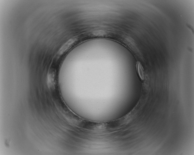 X0000103310116200809122100