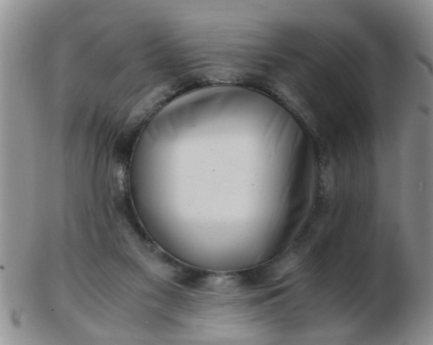 X0000103310117200809122100