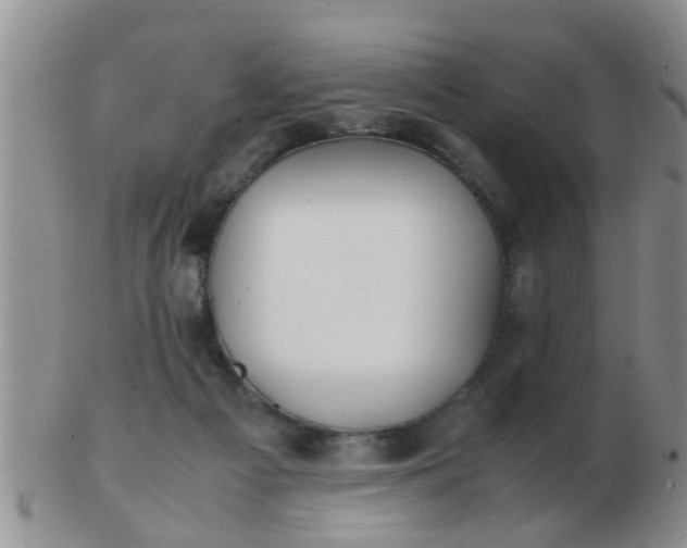 X0000103310121200809122100