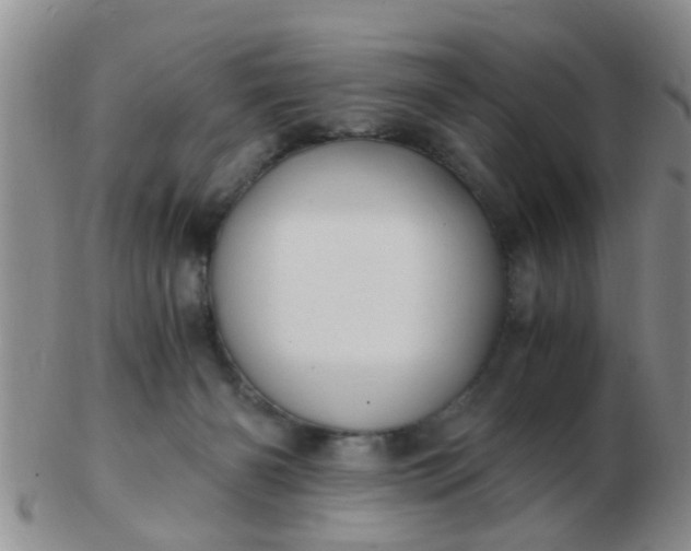 X0000103310126200809122100