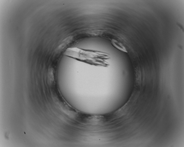 X0000103310128200809122100