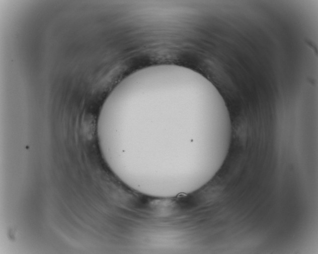 X0000103310133200809122100
