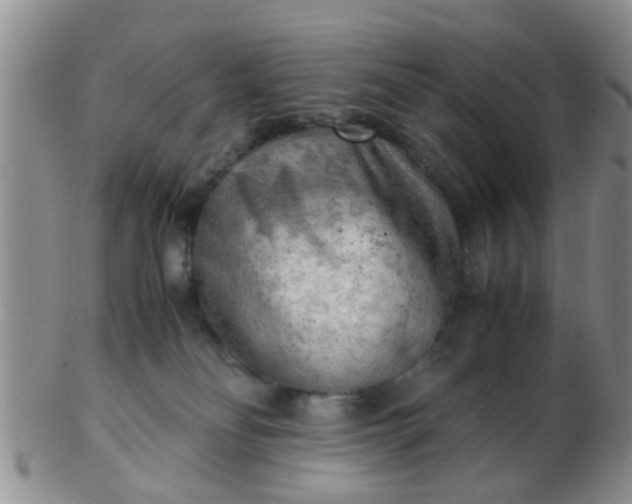 X0000103310134200809122100