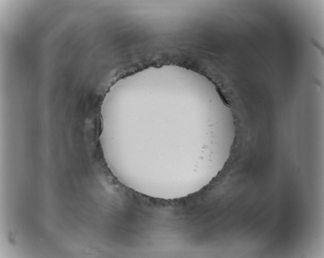 X0000103310144200809122100