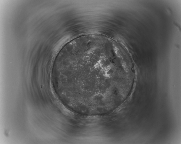X0000103310145200809122059