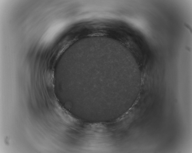 X0000103310146200809122059