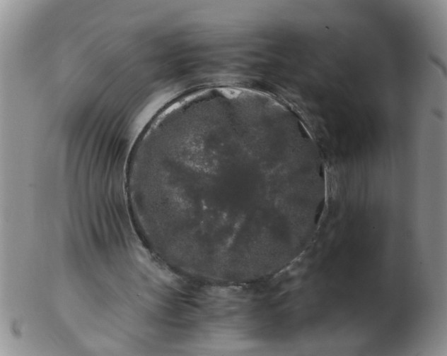 X0000103310147200809122059