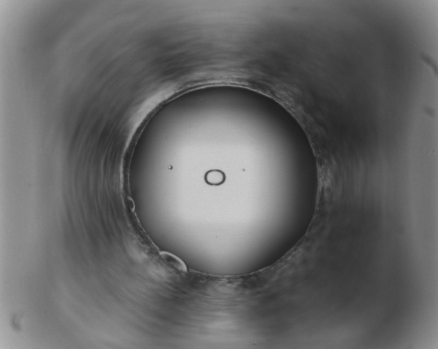 X0000103310148200809122059
