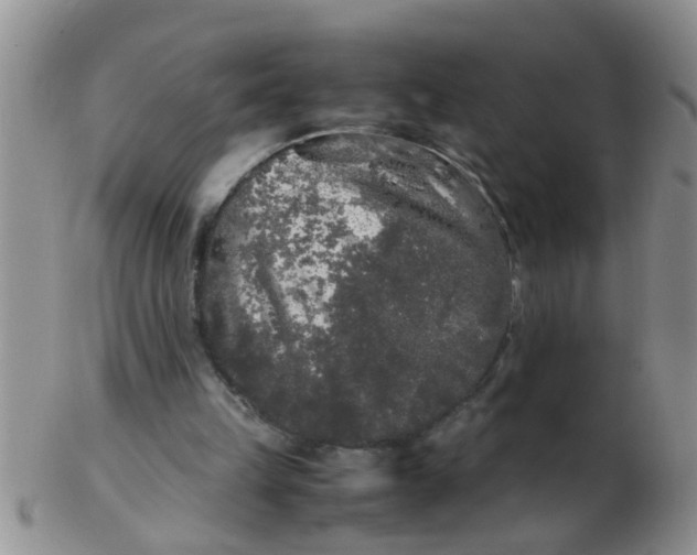 X0000103310149200809122059