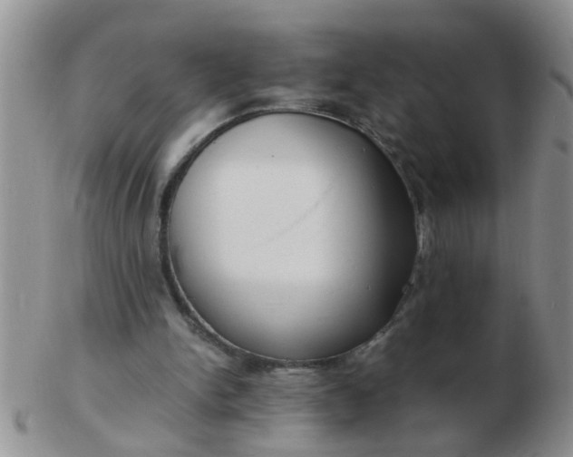 X0000103310150200809122059