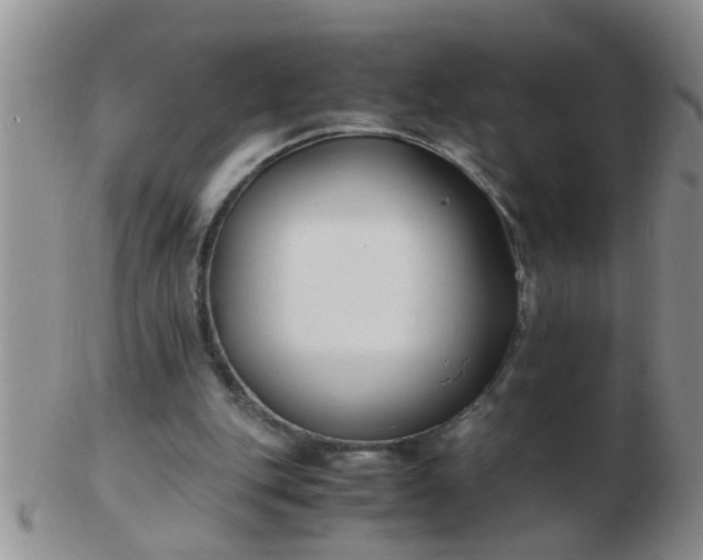 X0000103310151200809122059