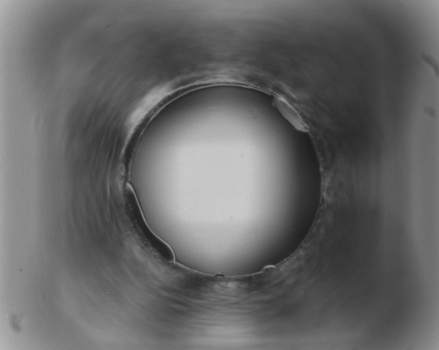 X0000103310152200809122059