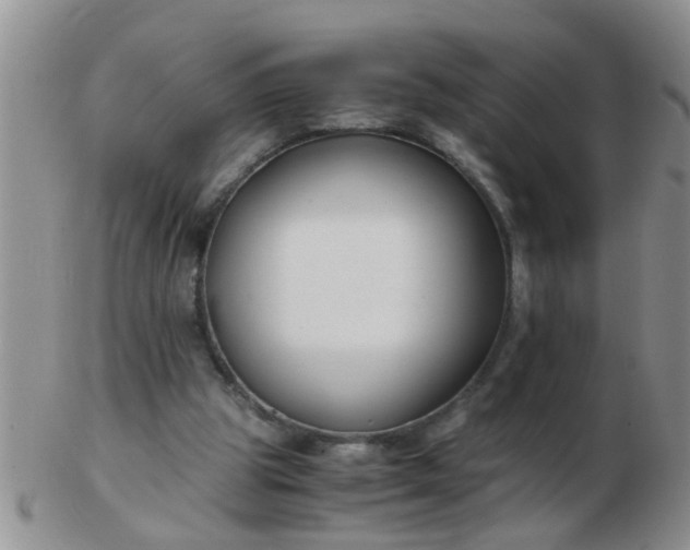 X0000103310153200809122059