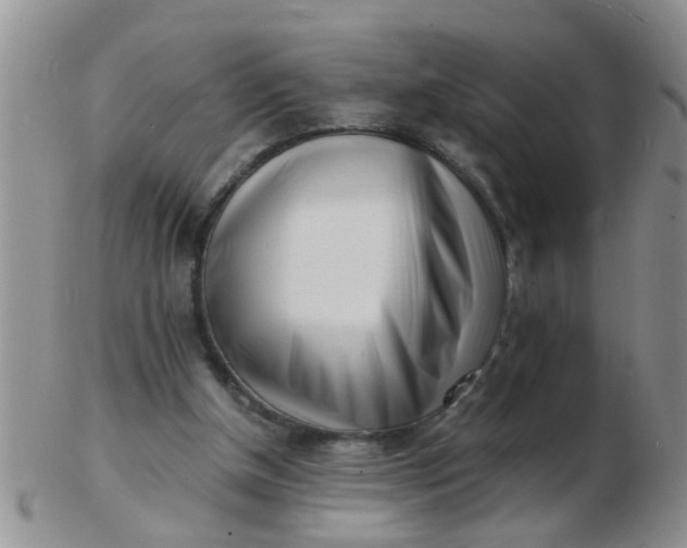 X0000103310154200809122059
