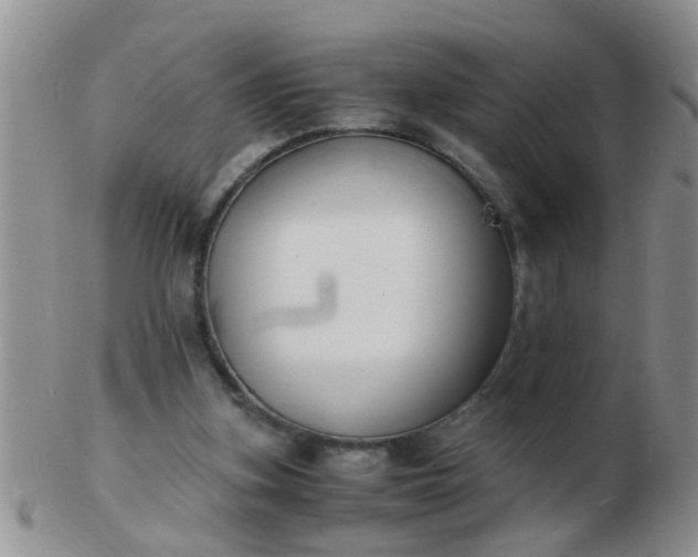 X0000103310155200809122059