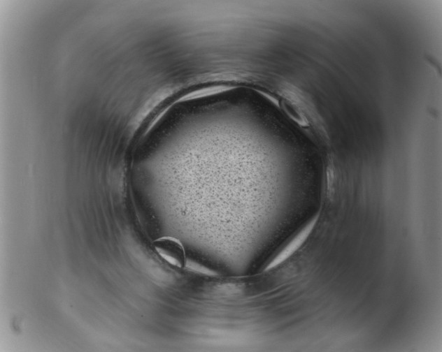 X0000103310156200809122059
