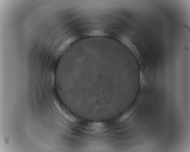 X0000103310157200809122059