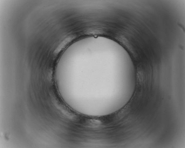 X0000103310159200809122059
