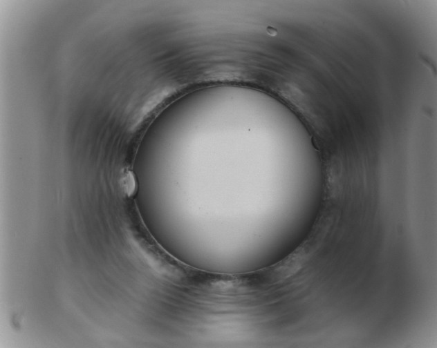 X0000103310160200809122059