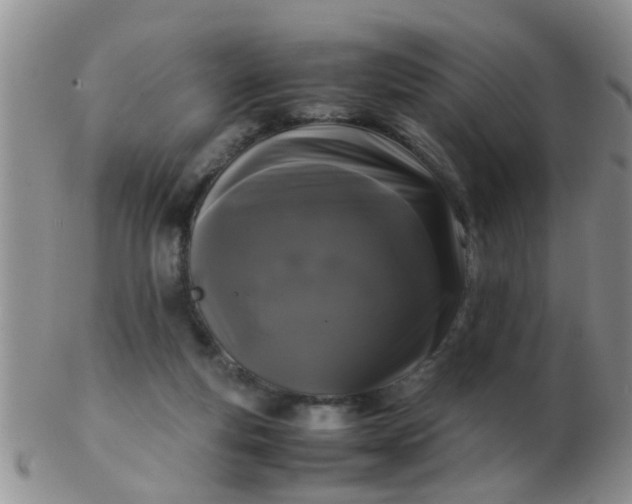 X0000103310163200809122059