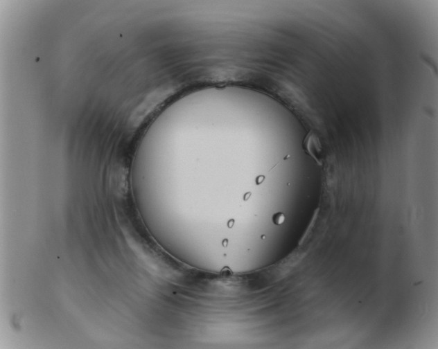 X0000103310164200809122059