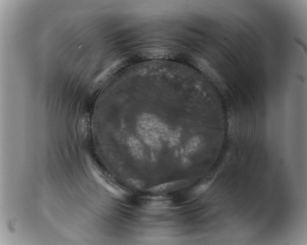 X0000103310165200809122059