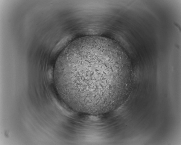 X0000103310166200809122059